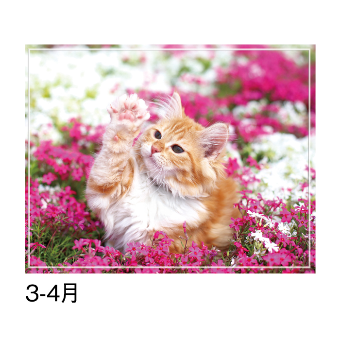 カレンダー 2026年 壁掛け マイスウィーティーキャット SG163 2026 猫