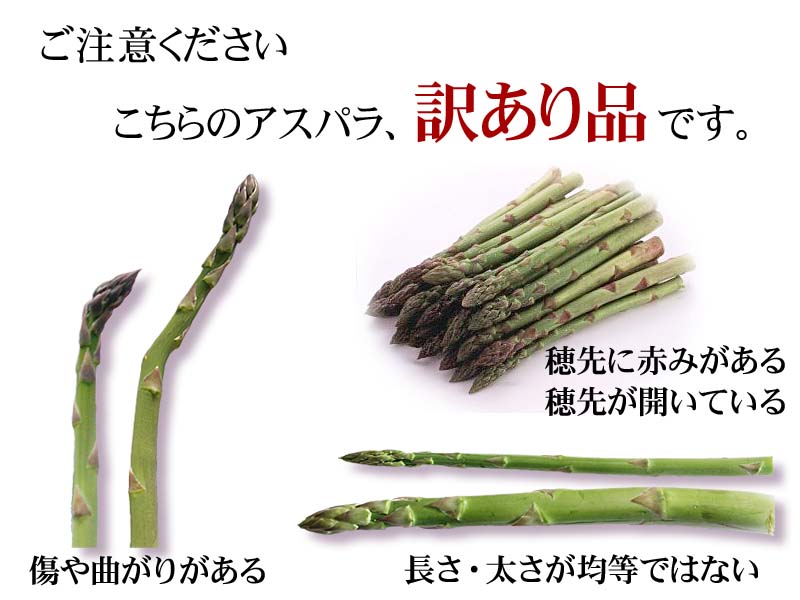予約商品 送料無料 訳あり 北海道 グリーン アスパラガス 1kg お徳用