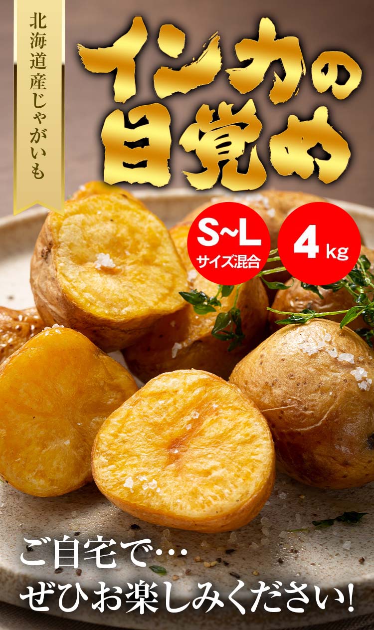 送料無料 北海道産 じゃがいも インカのめざめ 4kg(新じゃが S〜L