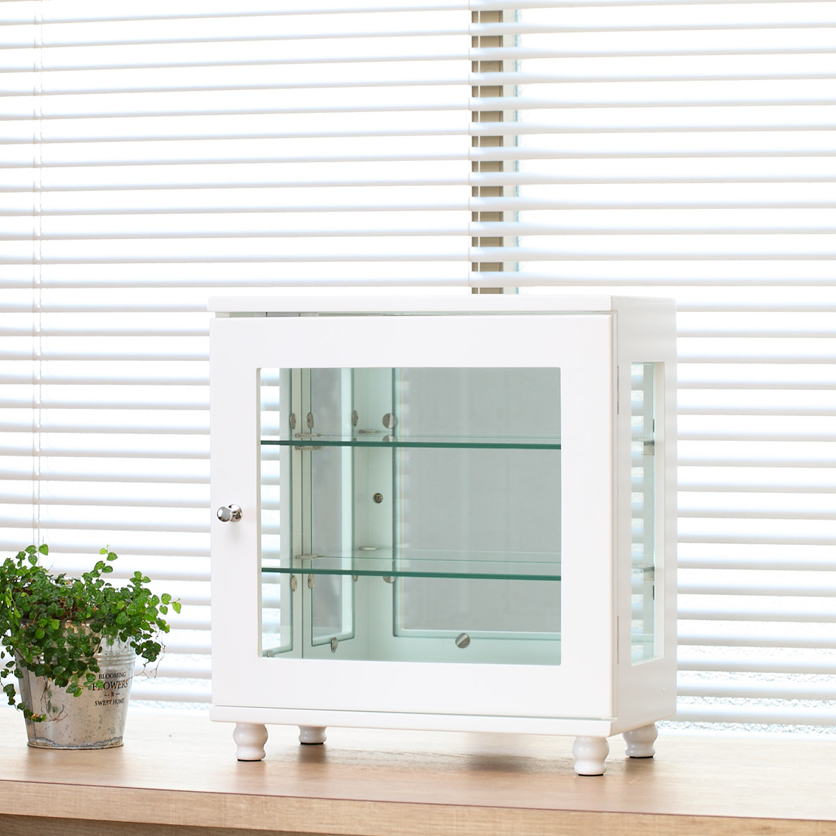 ミヤグチ企販 ミニコレクションラック ショーケース ワイドタイプ 幅