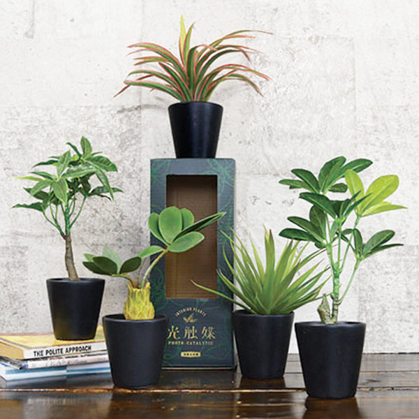 フェイクグリーン ブラックポットTS 光触媒 （ 人工観葉植物