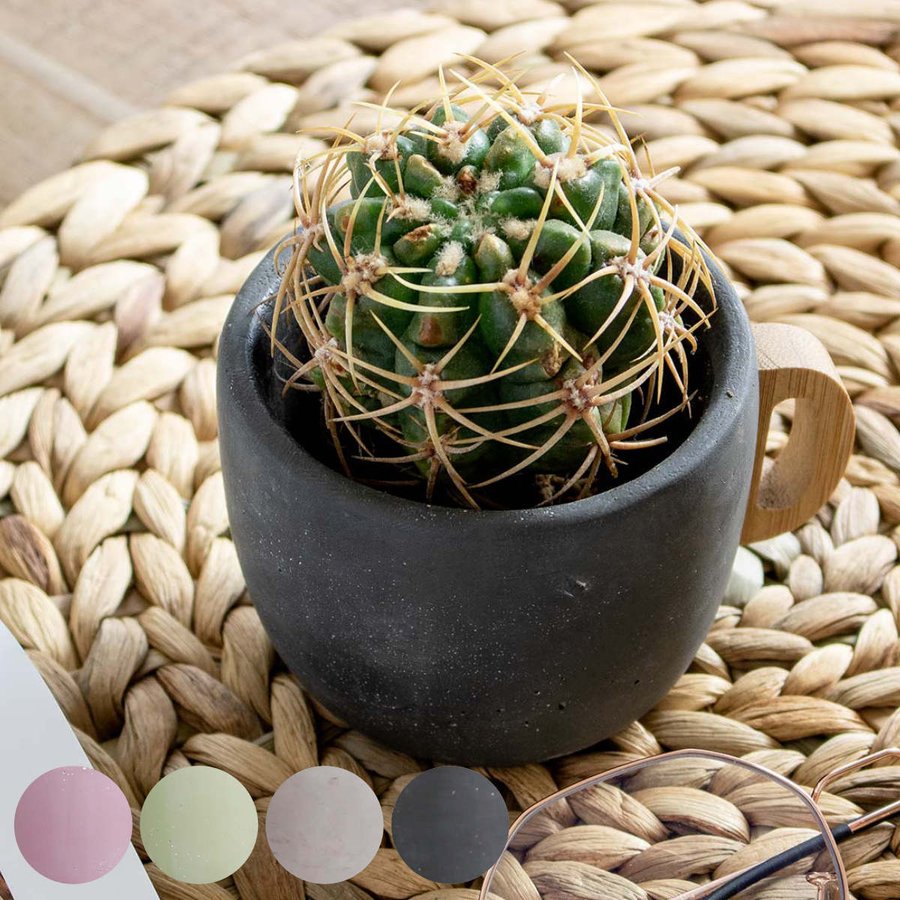 プランター ポアニェ マグポット （ 植木鉢 プラントポット 鉢植え 鉢