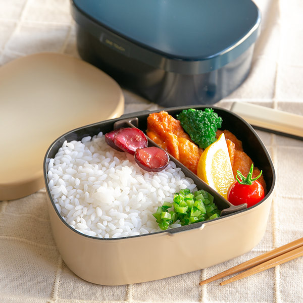 お弁当箱 1段 さっと洗えるお弁当箱 L 900ml ランチボックス （ HAKOYA