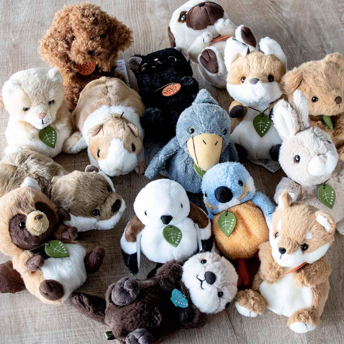 Sun Arrow（サン・アロー） ぬいぐるみ potte シンリンオオカミ