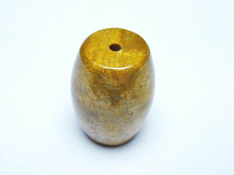 フォッシルコーラル 天珠 化石珊瑚[t155-2277]