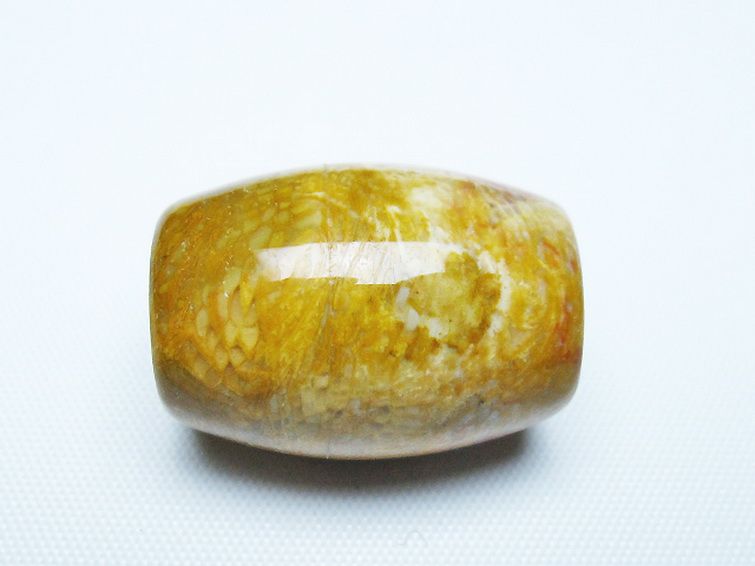 フォッシルコーラル 天珠 化石珊瑚[t155-2277]