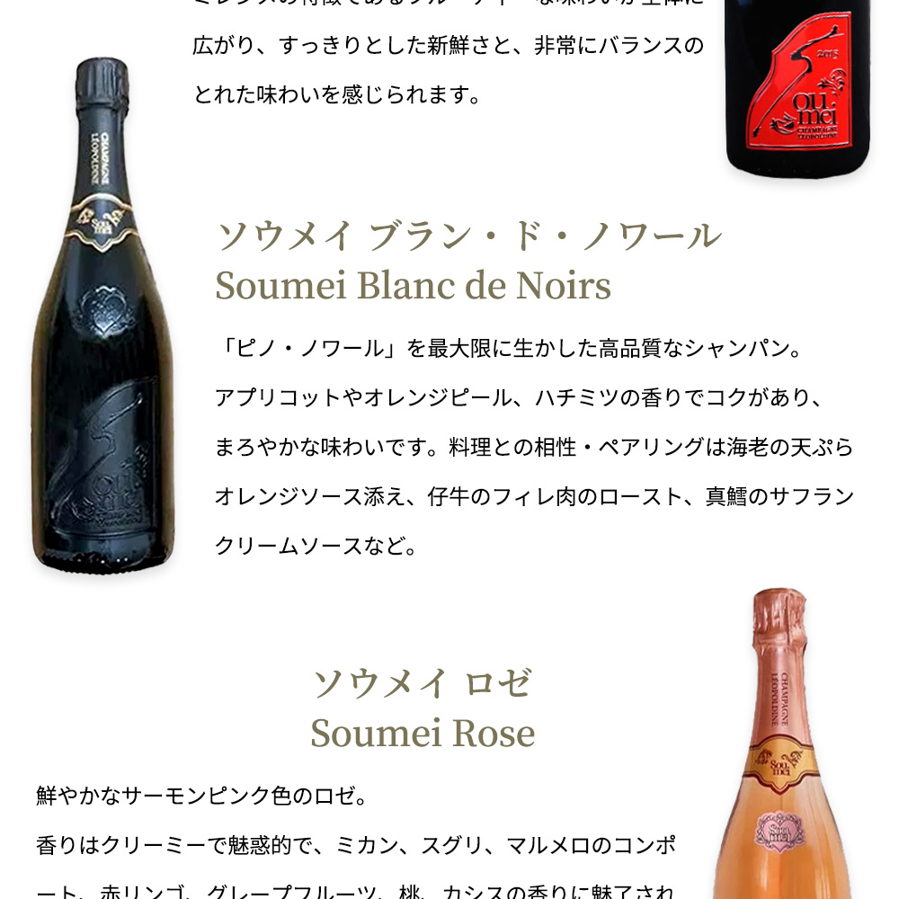 送料無料 正規品】【豪華アタッシュケース】ソウメイ ル セクス