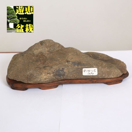 水石：宇治川石 現品*資材 うじがわ : 遊恵盆栽 Yahoo!店 - 通販