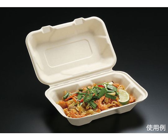 HEIKO 食品容器 バンブーペーパーウエア フードパック 3仕切り BFD3-20