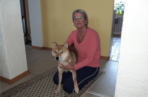 Züchter Archive - Shiba Club Deutschland e.V.