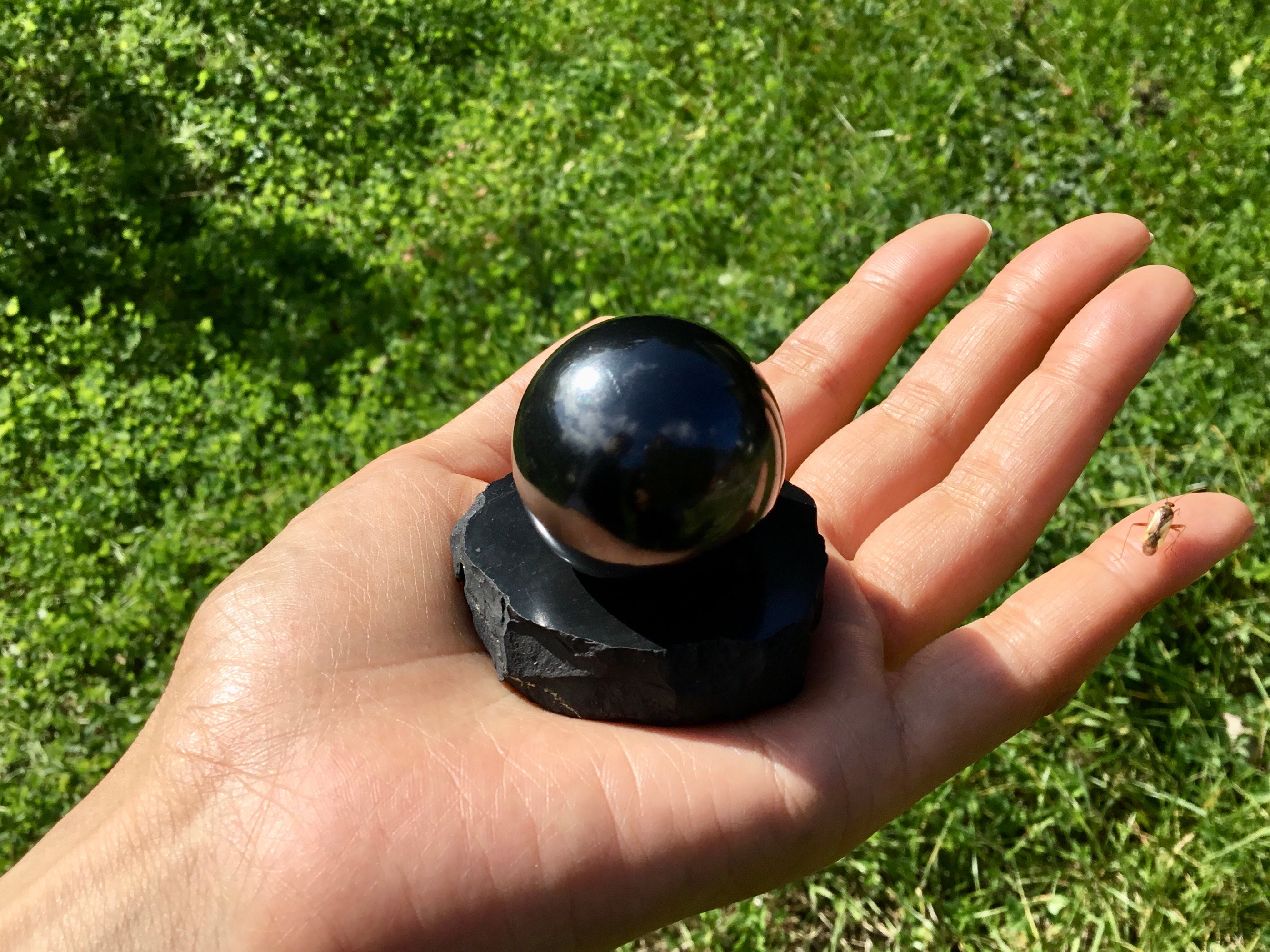 プレミアムエリートシュンガイト原石 – シュンガイトセンタージャパン