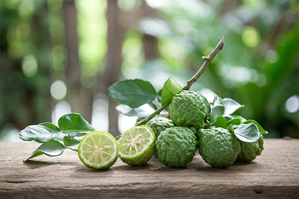 コブミカンの葉 Kaffir Lime Leaves – SOCO foods Co.,Ltd
