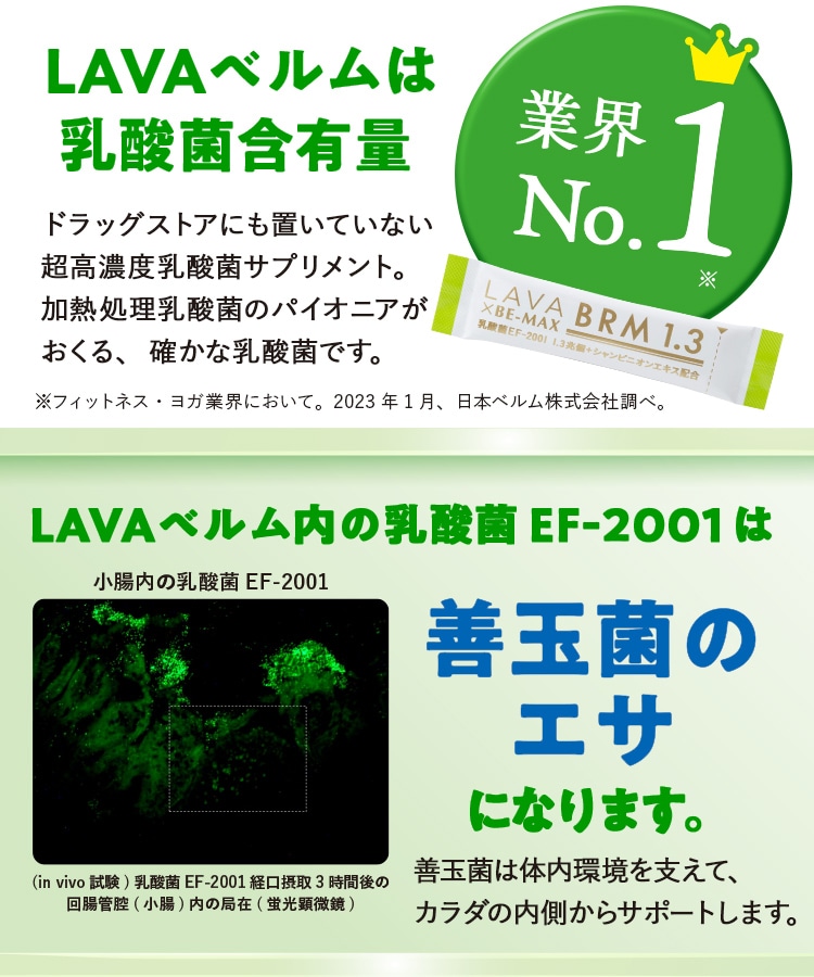 定期購入キャンペーン】LAVA BRM1.3［3箱コース：40％OFF］(50包／箱