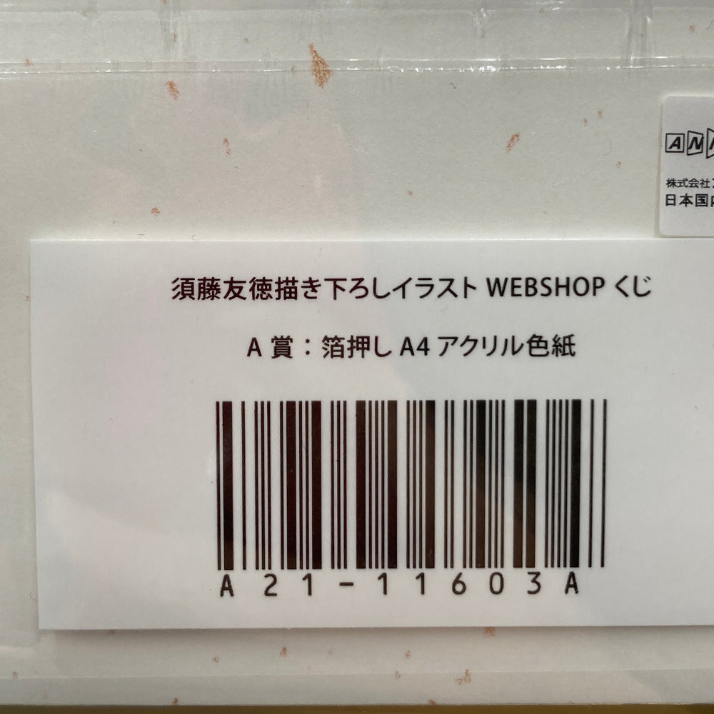 衛宮士郎＆アーチャー 箔押しA4アクリル色紙 「WEBSHOPくじ Fate/stay