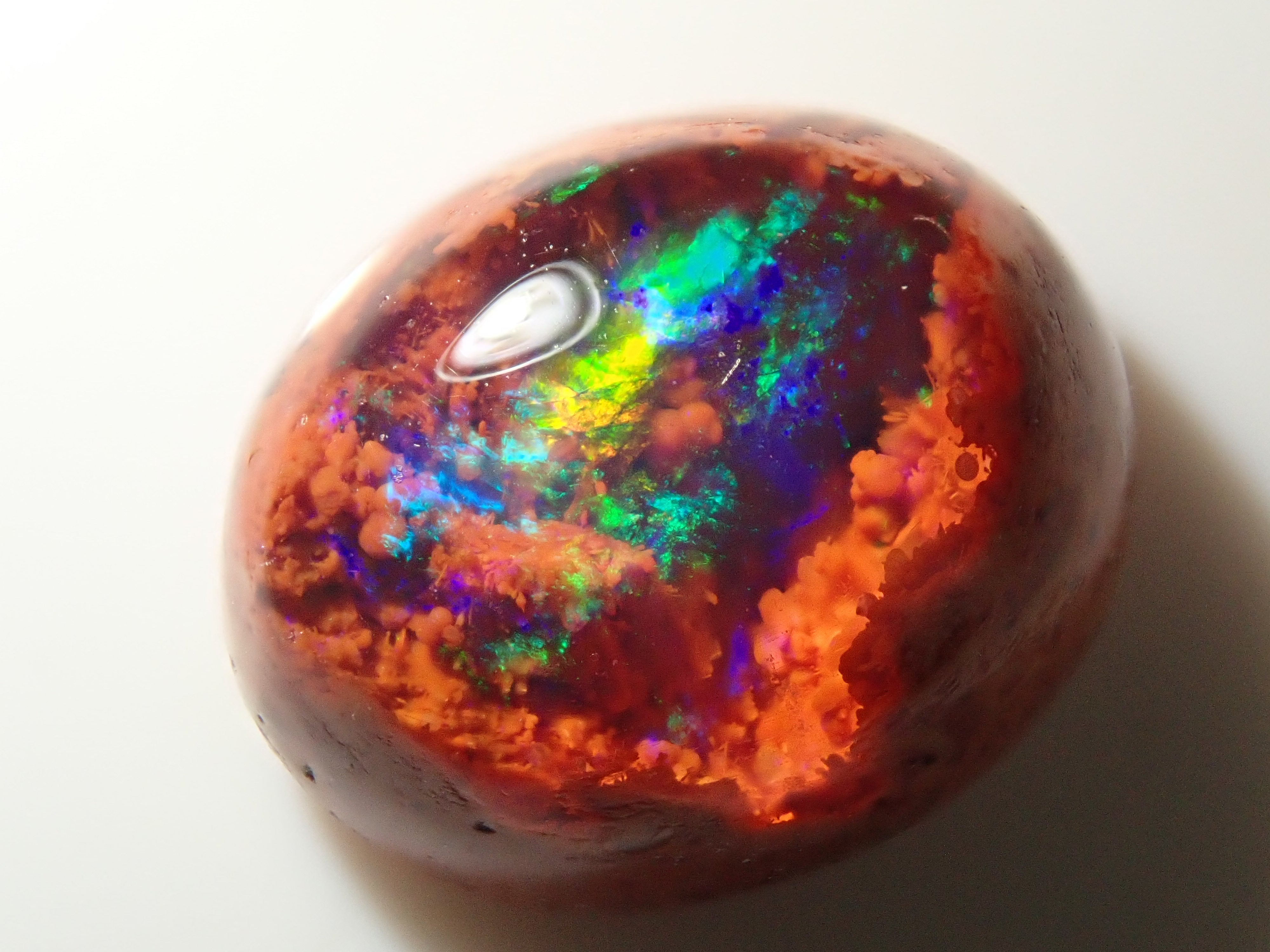 P1316312.jpg?v=1738822910&