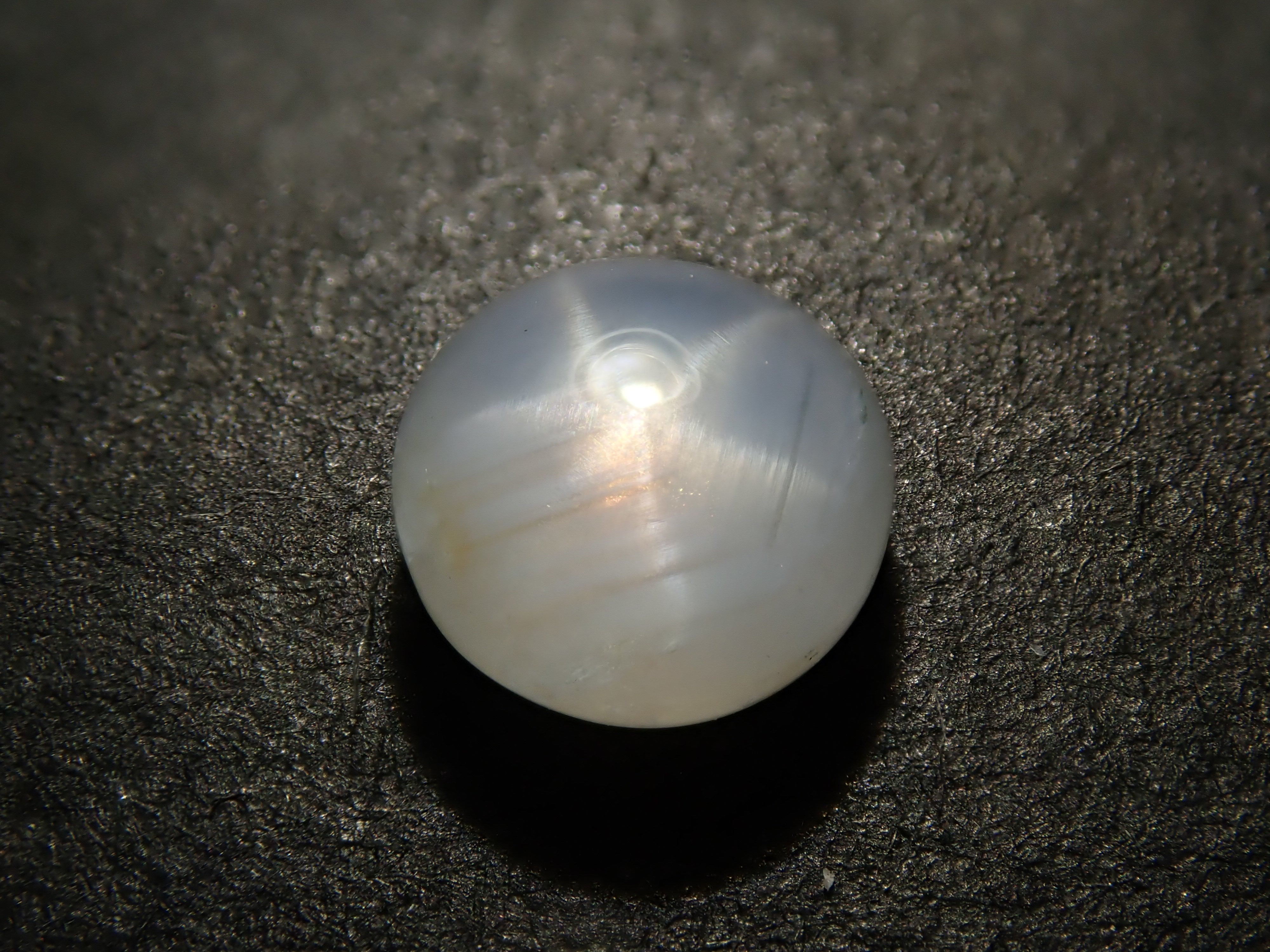 P2071039.jpg?v=1740607904&