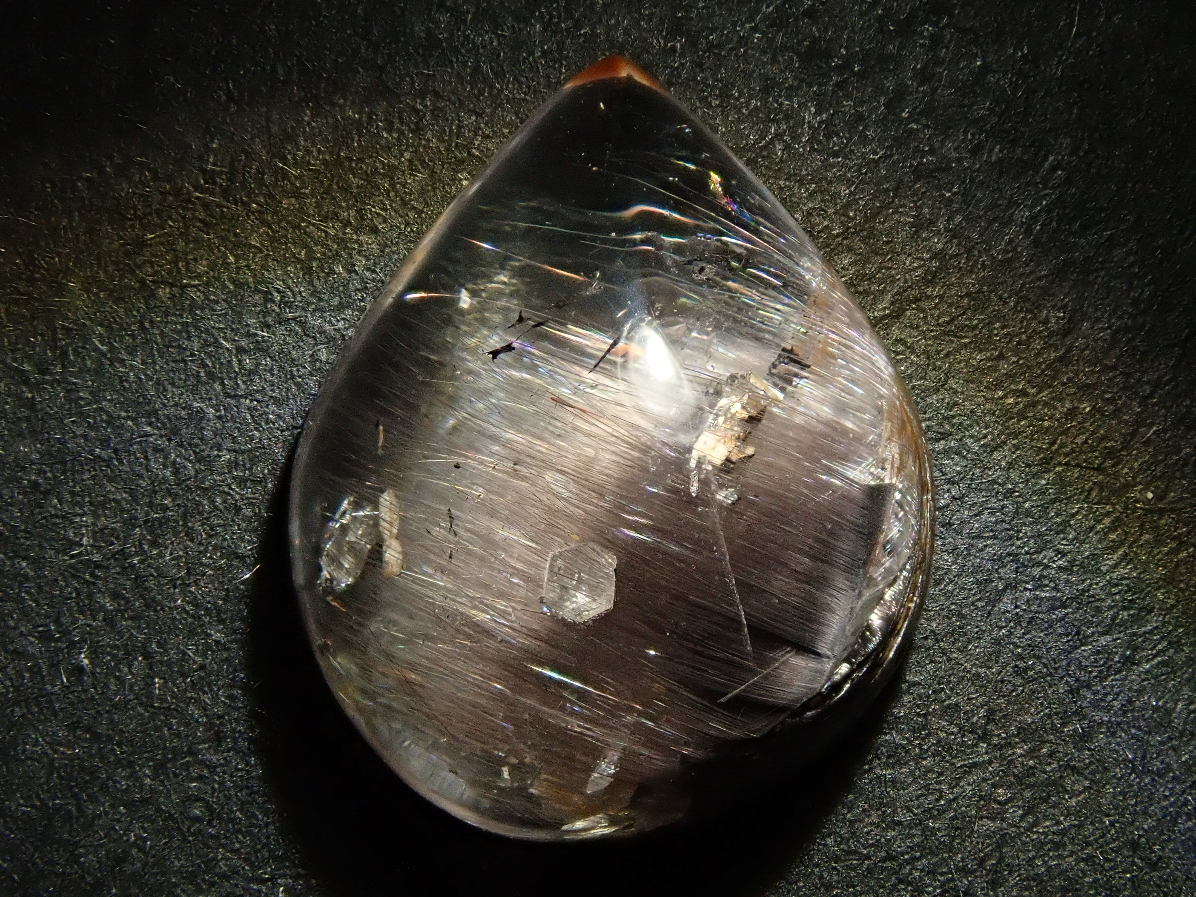 PC053037.jpg?v=1733451329&