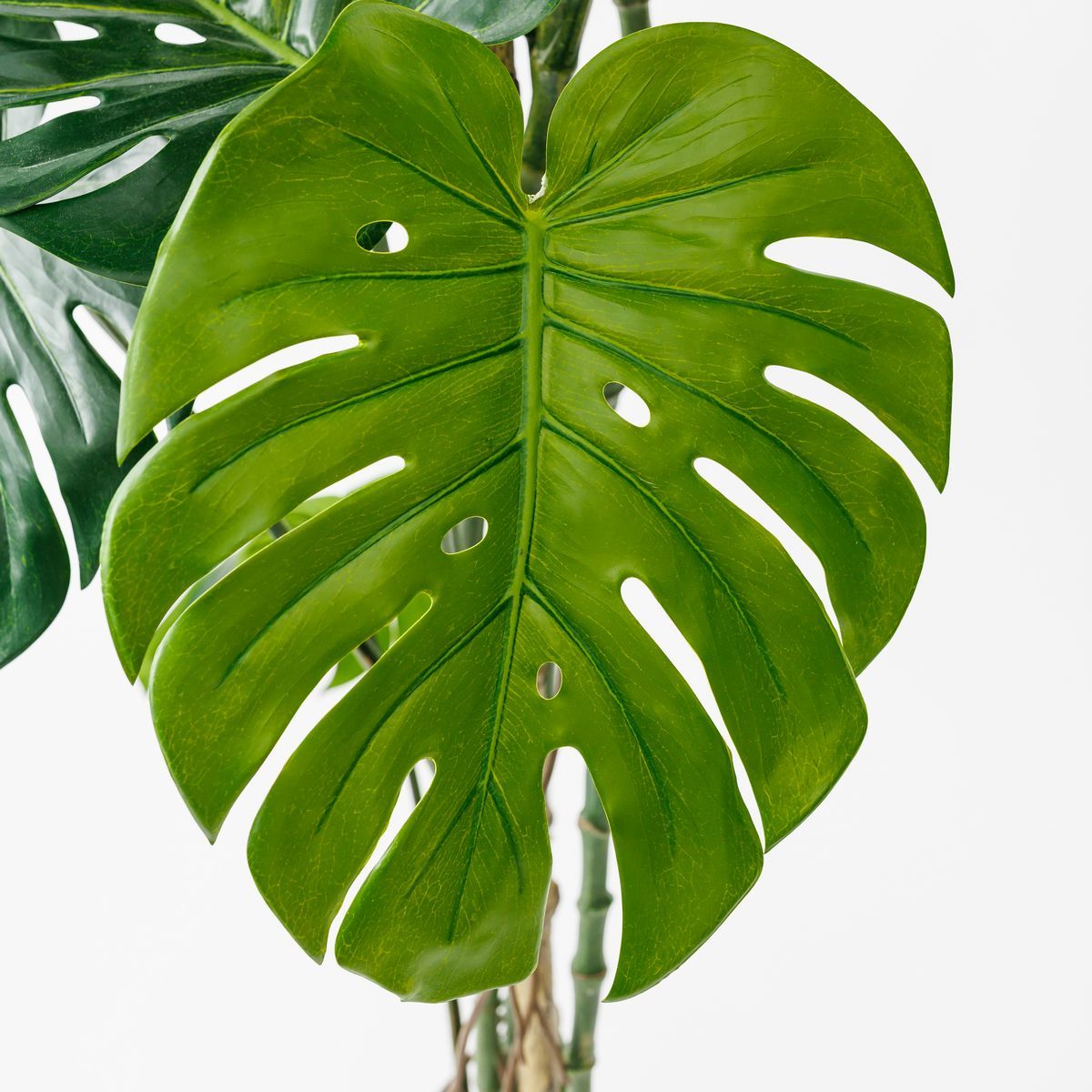直送】【人工観葉植物】アスカ/モンステラポット グリ-ン/A-50813-051A