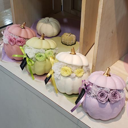 即日☆東京堂/フタ付きパンプキン ホワイト #1 WHITE/HW002400-001