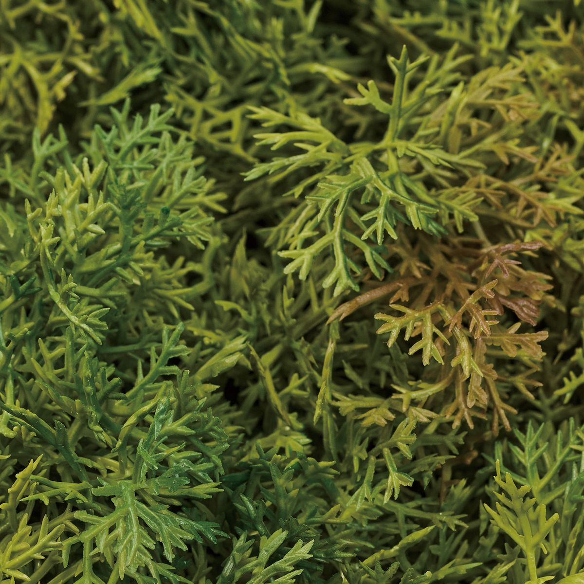 造花】MAGIQ東京堂/ソフトモスマット モスグリーン MS.GR/FG008209