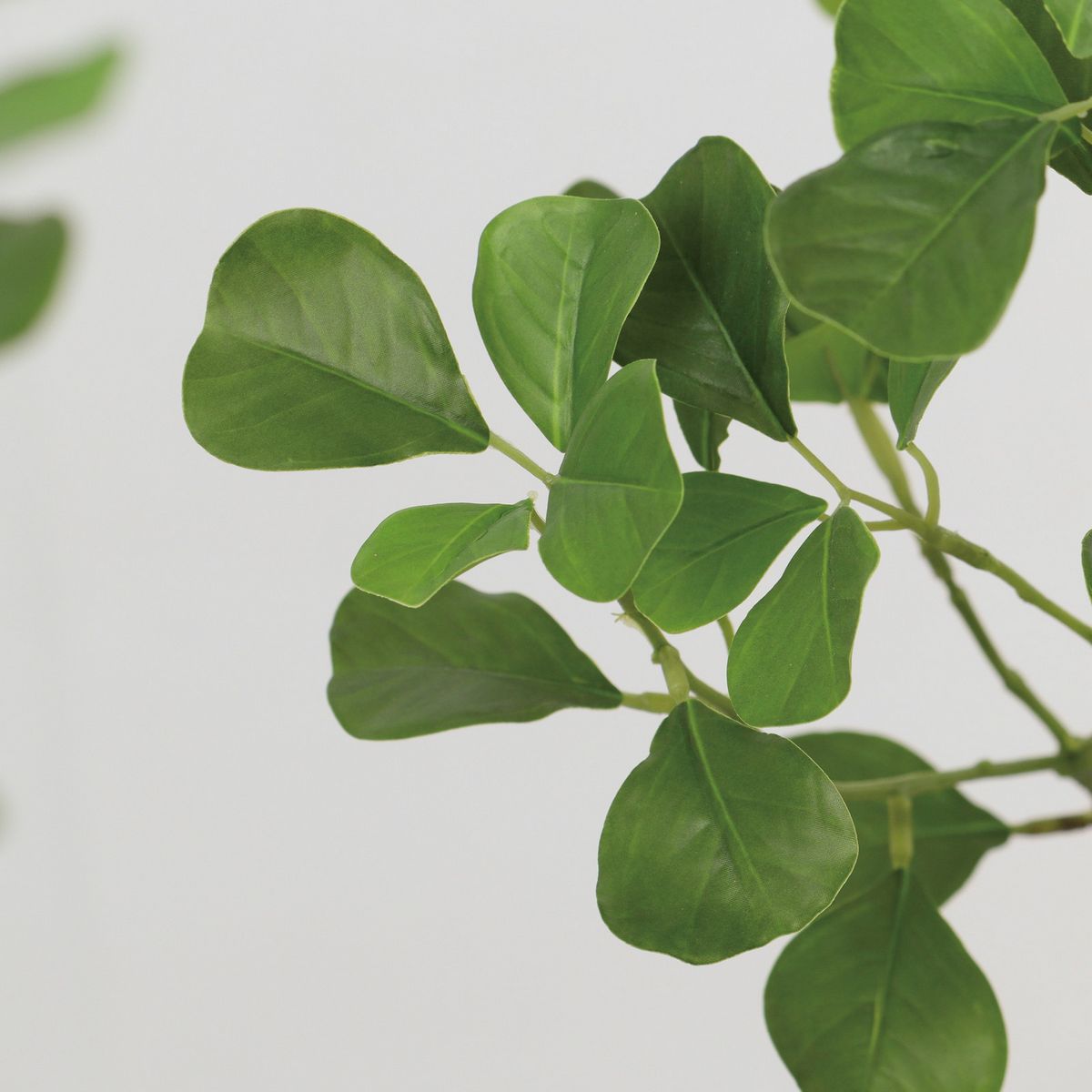 人工観葉植物】YDM/125cmフィカストライアンギュラス グリーン/GLP