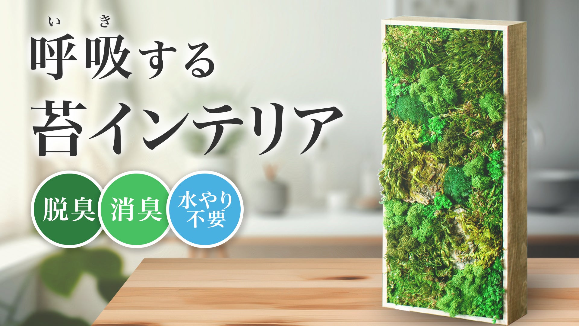 main_40899.jpg?version=