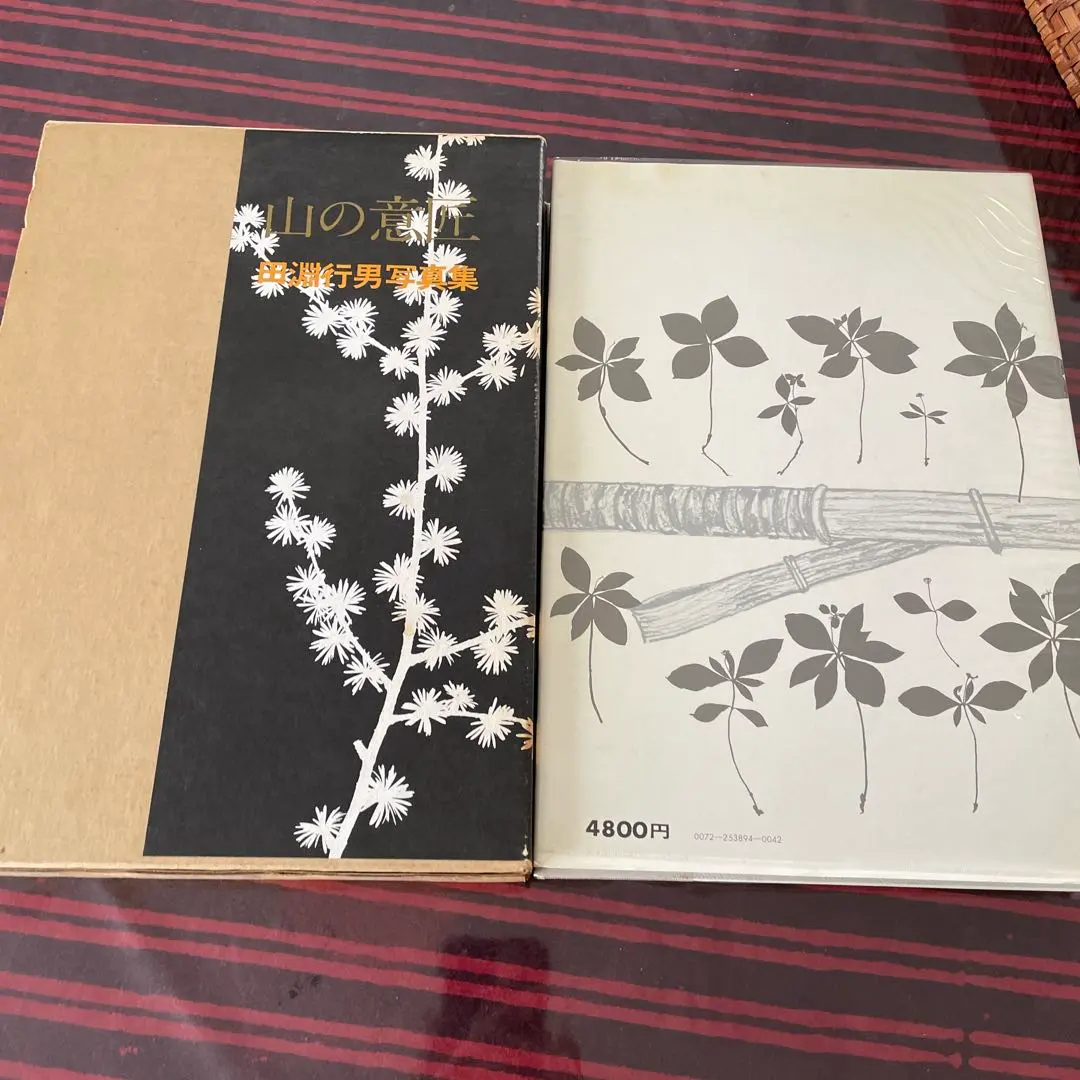 2026年最新】田淵行男の人気アイテム - メルカリ