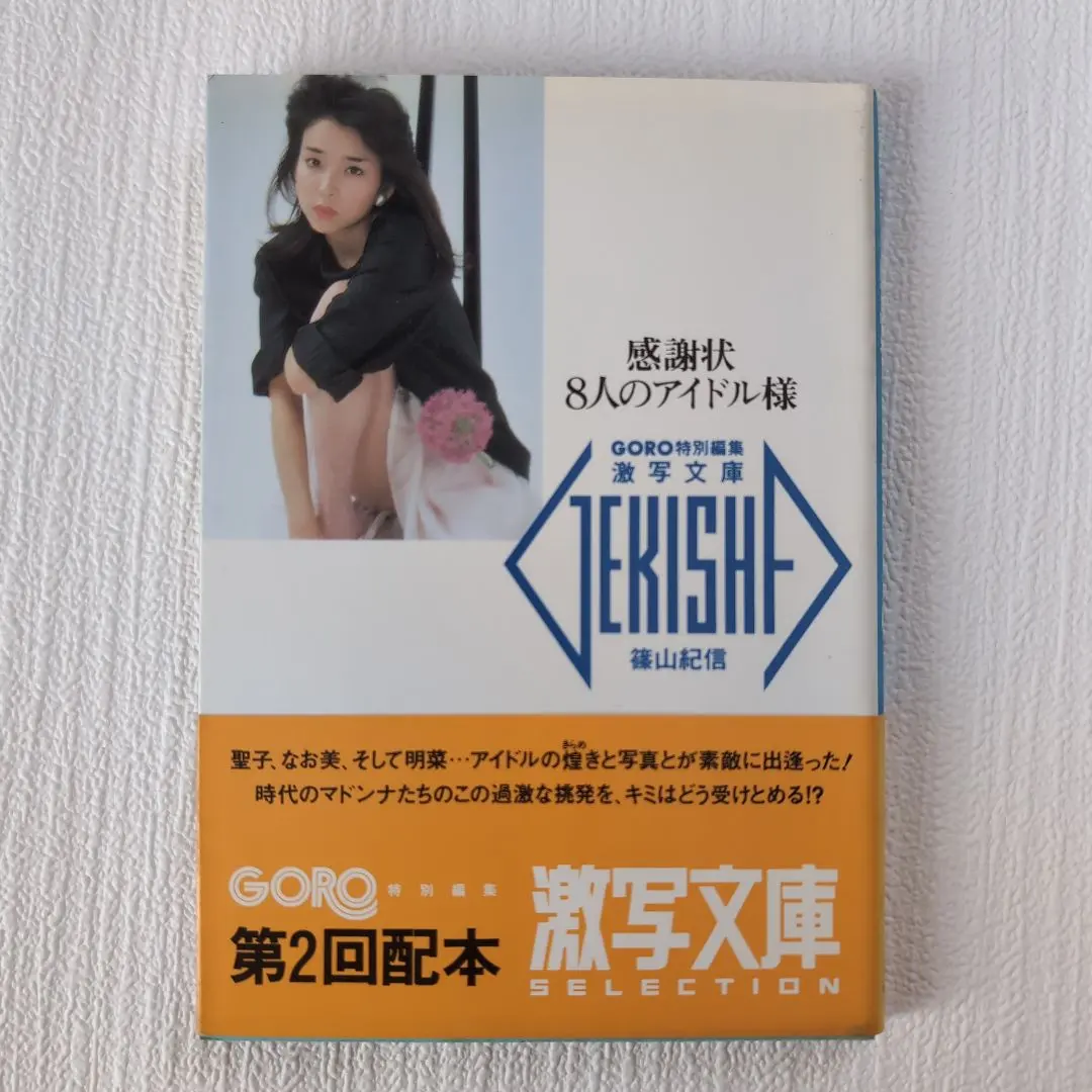 2026年最新】宮崎美子 篠山紀信の人気アイテム - メルカリ