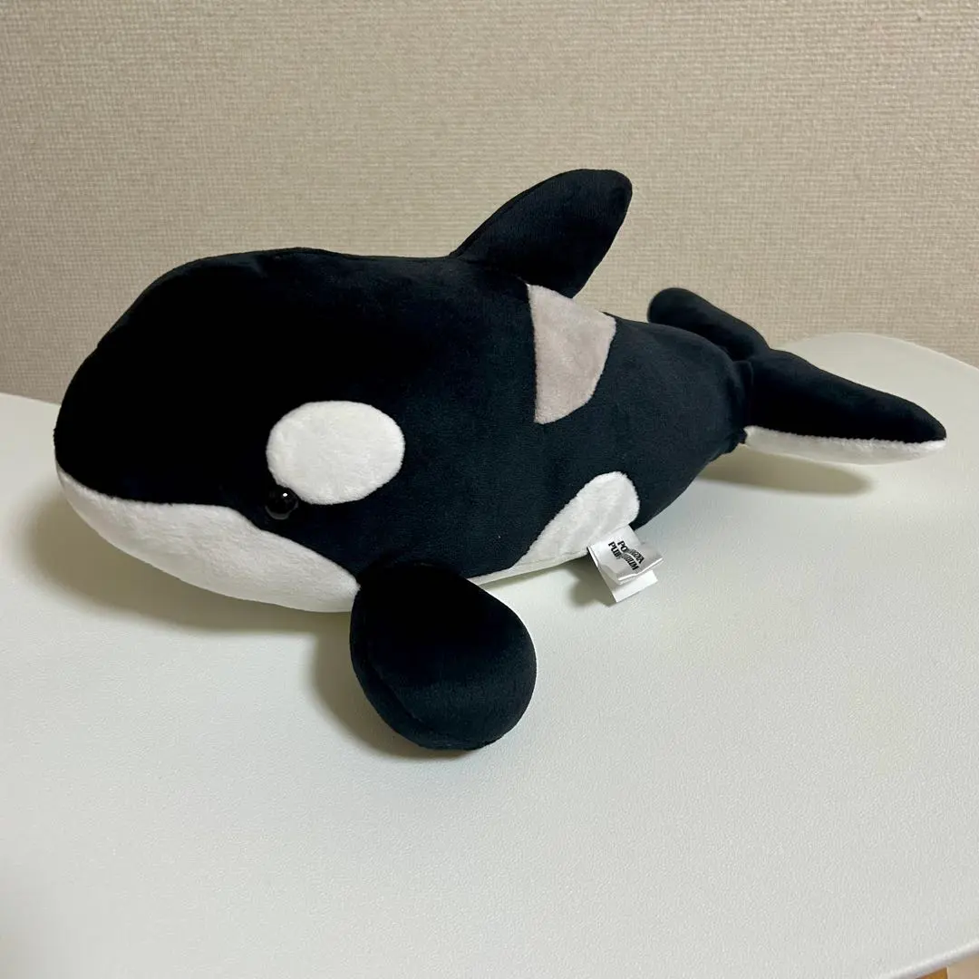 2026年最新】名古屋港水族館 シャチくじの人気アイテム - メルカリ