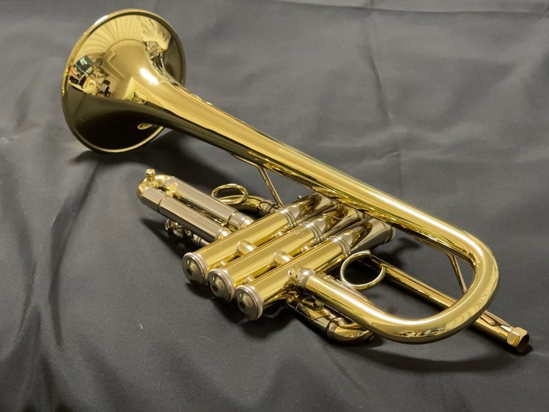 V.BachアルティザンE♭管 AE190GL選定品 [中古] - メルカリ