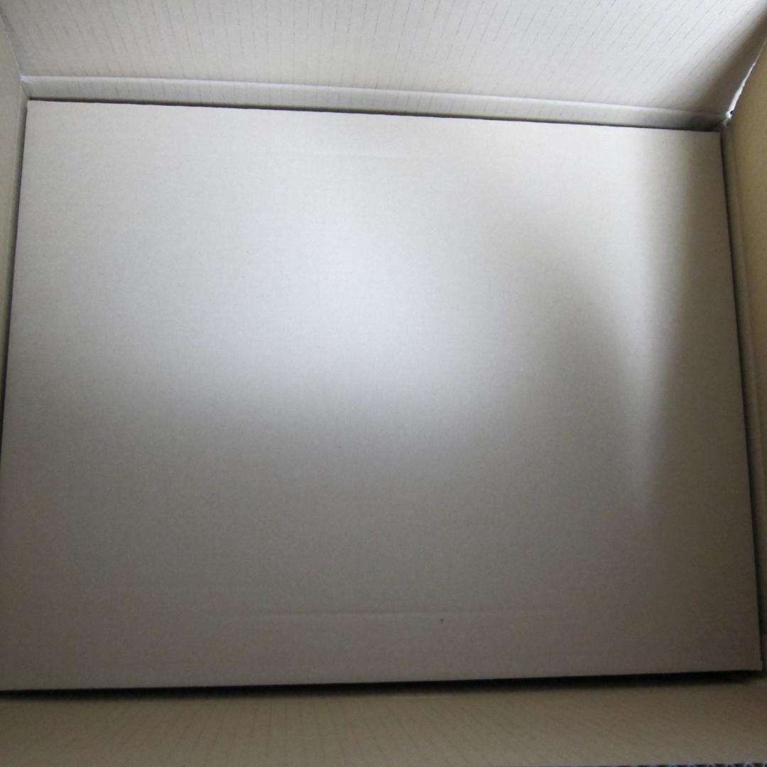 等身大おっぱいマウスパッド 深大寺塔子　Softgarage　送料込