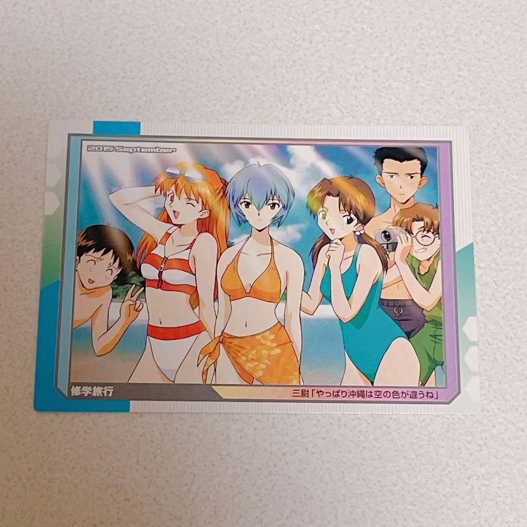 エヴァンゲリオン 育成計画 限定 カード 碇シンジ 綾波レイ アスカ