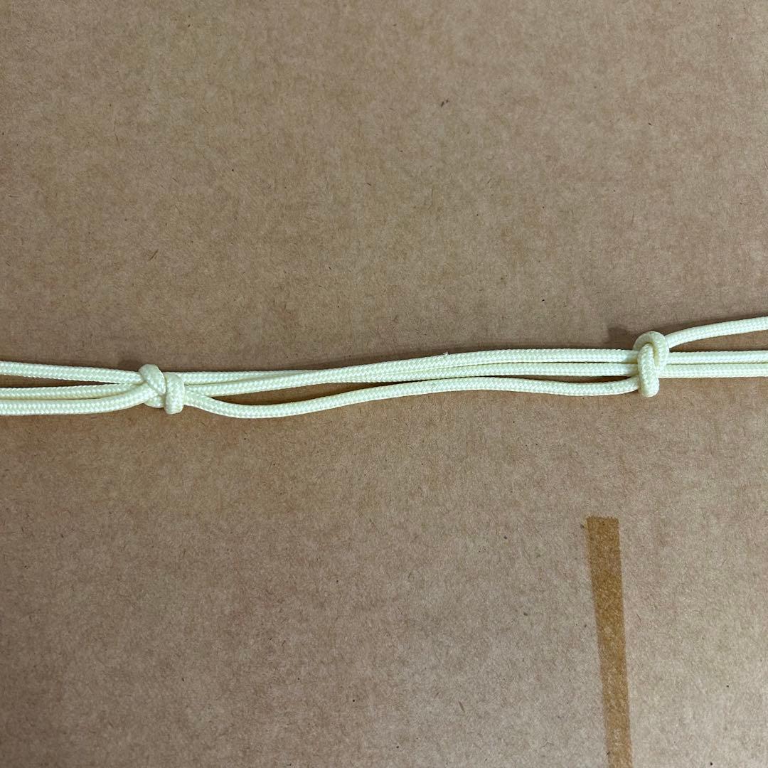 笹倉鉄平 絵画 リトグラフ ドリーミング 限定 アンティーク レア 直筆