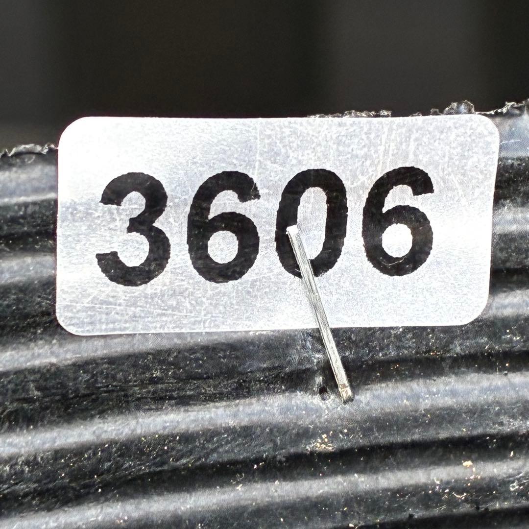 3606☘️花付き☘️⭐️ムルチ交配⭐️個性的⭐️くっきりダーク