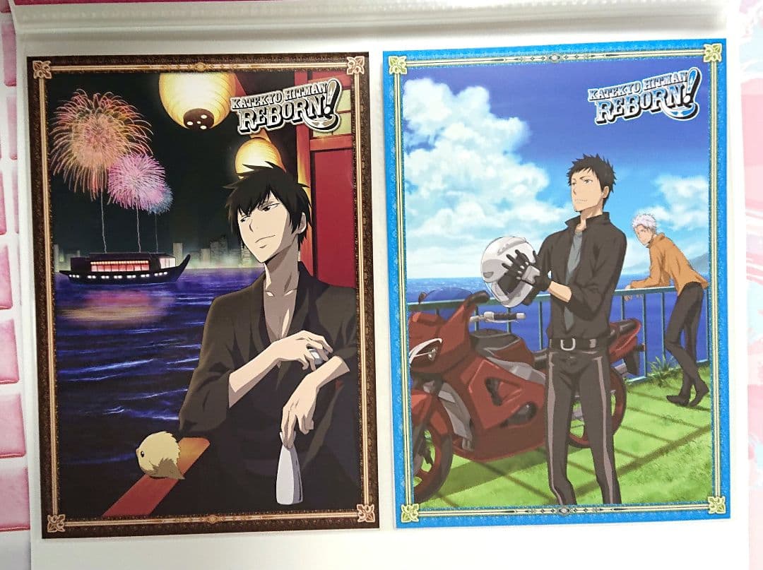 家庭教師ヒットマンREBORN！ ファイル付きビッグポストカードセット