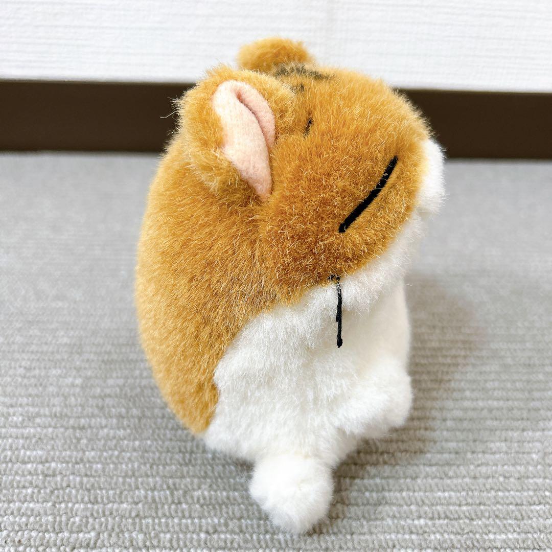 ハムスター倶楽部 めで鯛 あおば出版 サンライク 当時品 しげっち