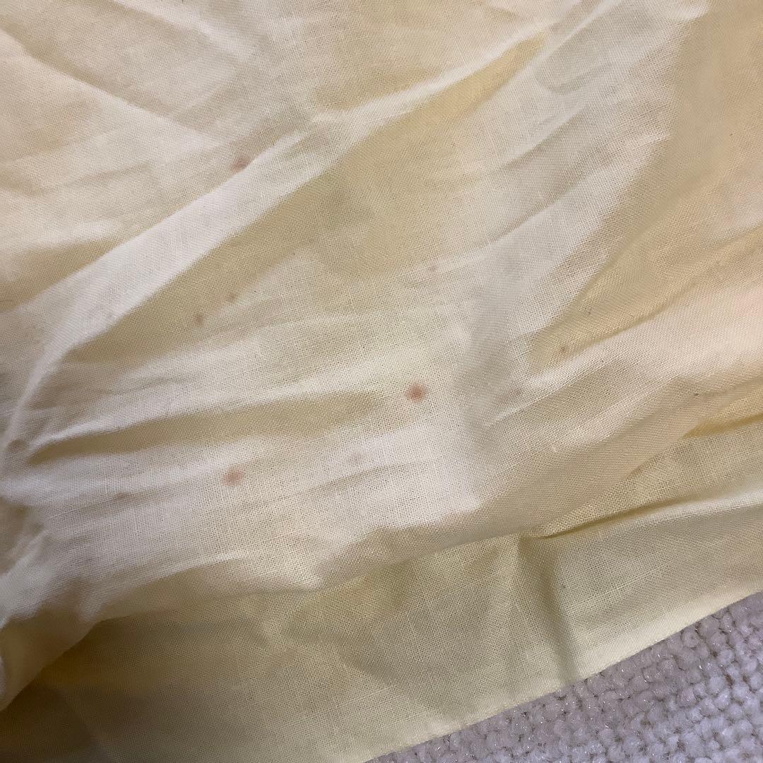 日本画 菩薩 岩崎甚一郎 金色縁額装