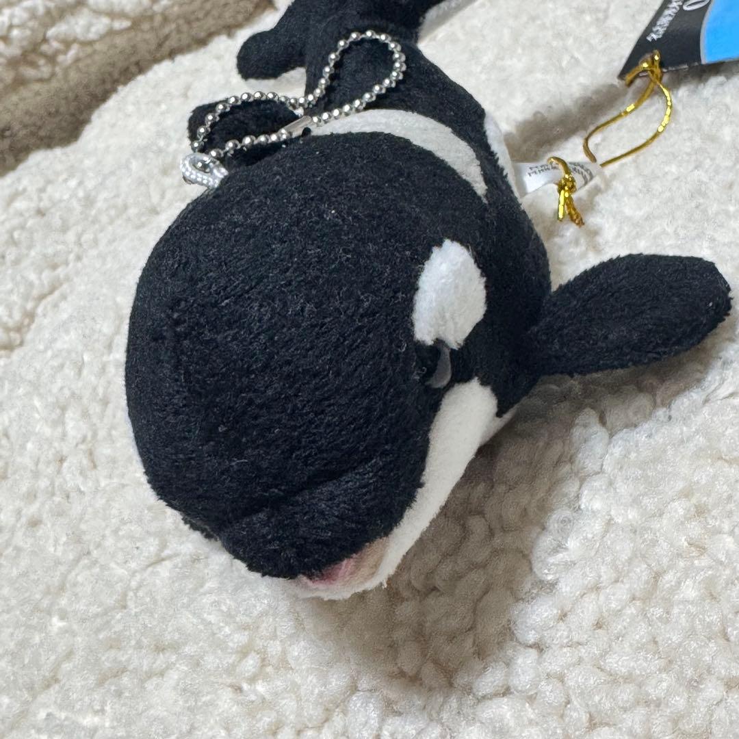 シャチ ぬいぐるみ 名古屋港水族館 Sサイズ - メルカリ