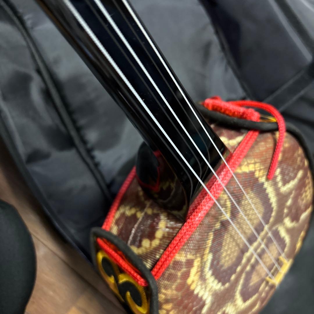 三線 沖縄三線 ケース付き ジャンク渡しの通販｜olive-branch.world