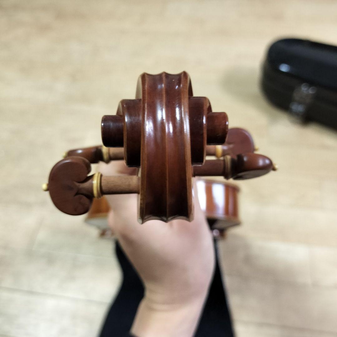 完全最終値下 ピグマリウス スタンダード 4/4 2020 イーストマンケース