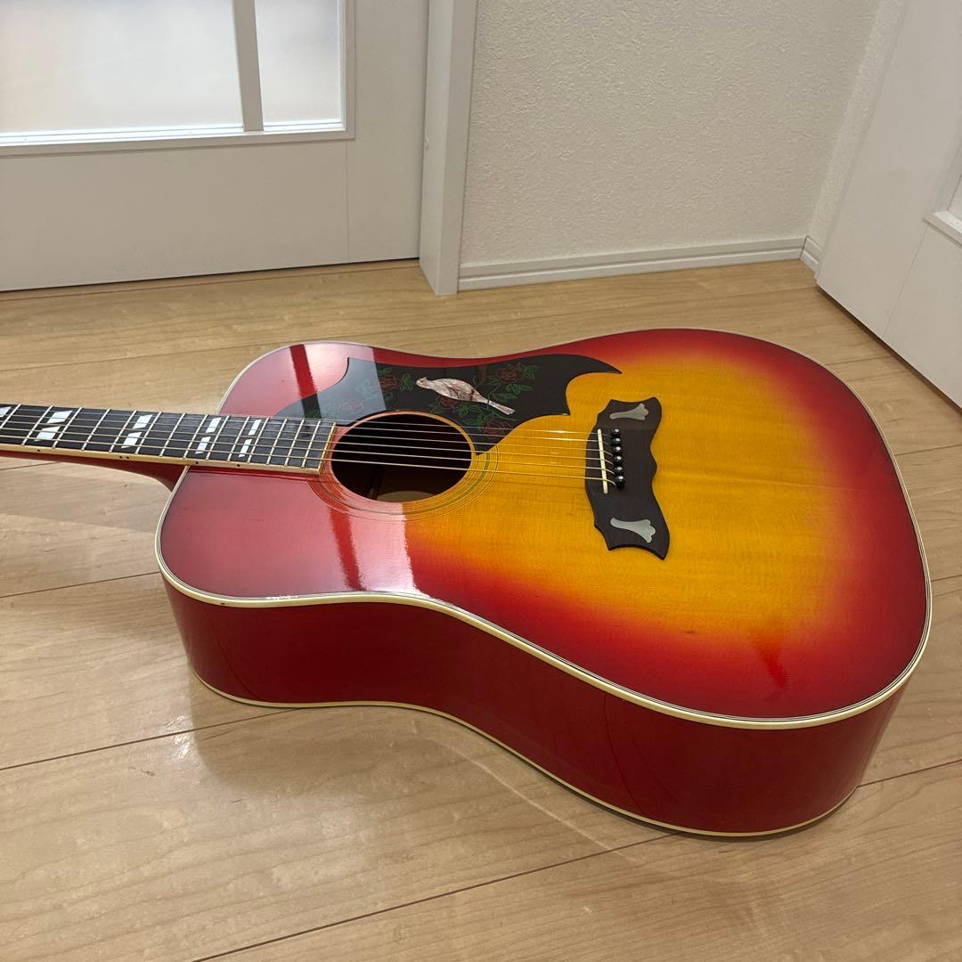 激レア美品Morris WD-35 DOVE コピー日本製 ジャパンビンテージ - メルカリ