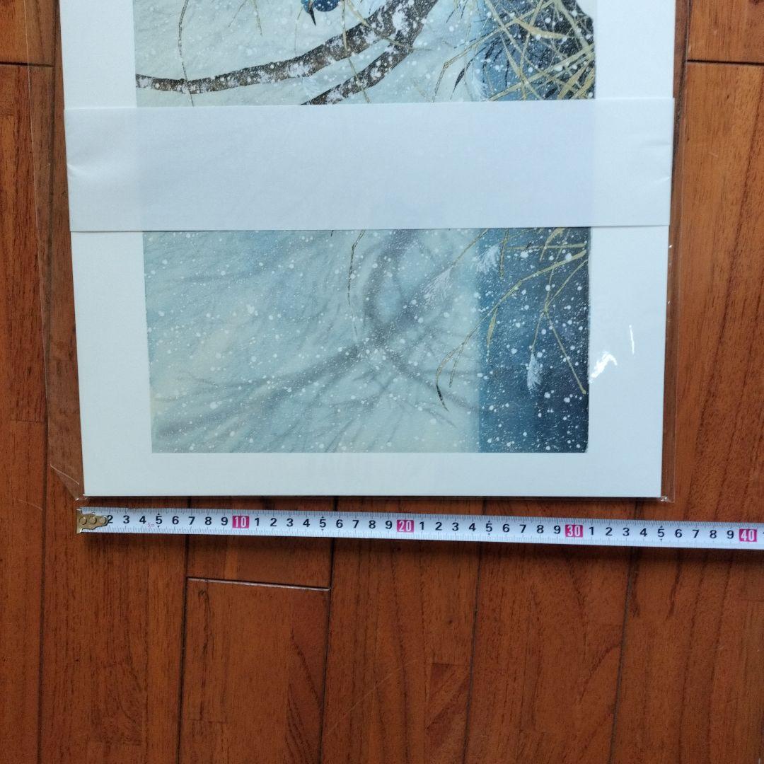 はな様 「新品未使用品」矢口高雄大原画集 悠久の時・一瞬の生命 ※釣り