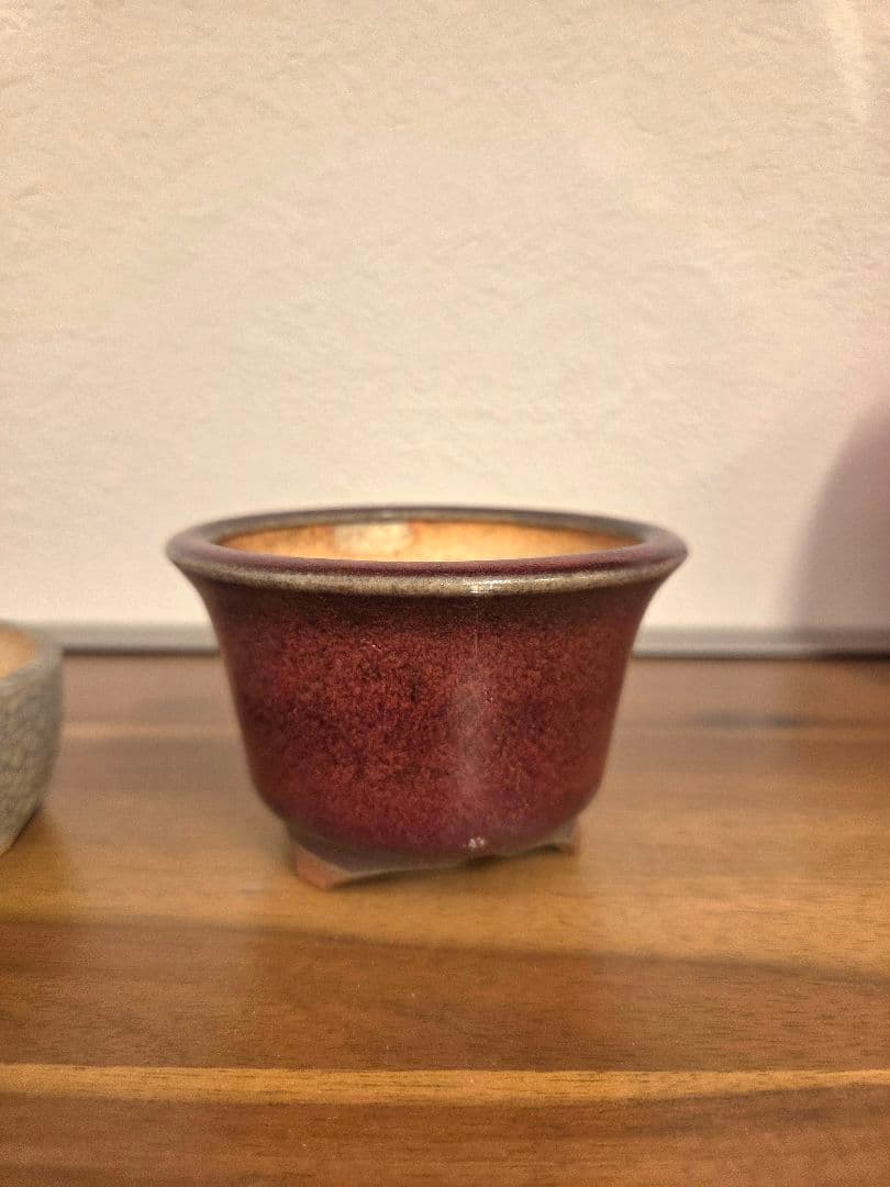 美巧 堀江美巧 盆栽鉢 鉢 盆栽 陶器鉢 5点セット