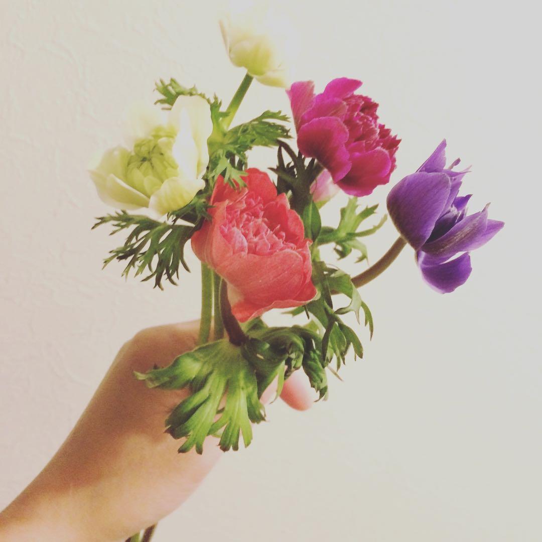 マメさま専用ページ Amazon | トミーテック(TOMYTEC) TOMIX Nゲージ ミニ 鉄道模型運転