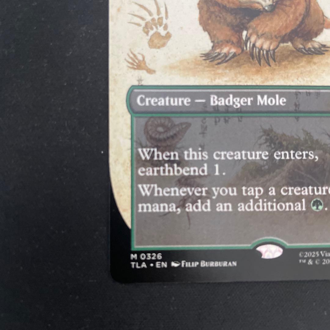 MTG アナグマモグラの子 英語 ボーダレス Badgermole Cub - メルカリ