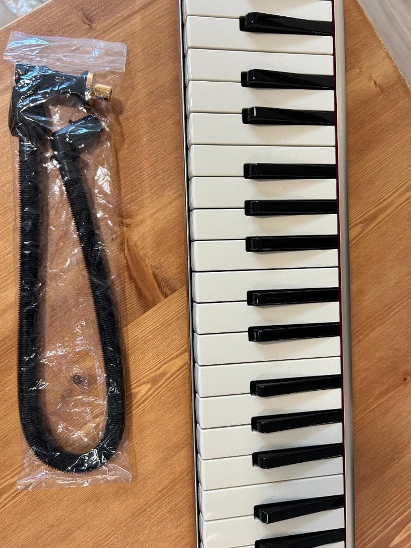 HAMMOND PRO-44Hv2　鍵盤ハーモニカ　アルト　44鍵　ハモンド HAMMOND PRO-44Hv2 PRO-44Hv2 鍵盤ハーモニカ ハモンド 【 新宿