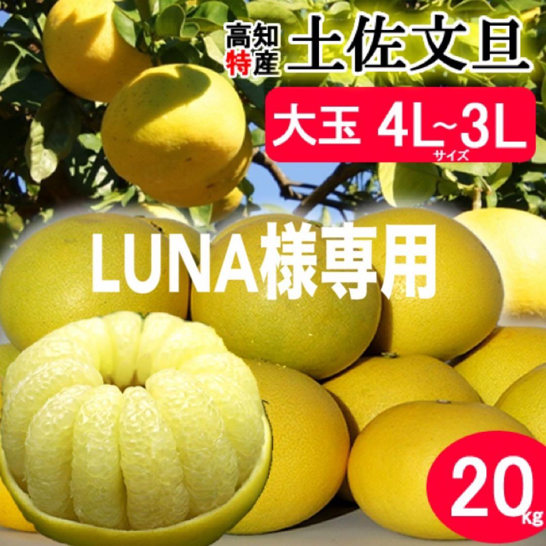LUNA　高知特産　土佐文旦　大玉サイズ　約20kg 土佐文旦20kg L2Lサイズ 高知産 文旦ぶんたん訳ありブンタン