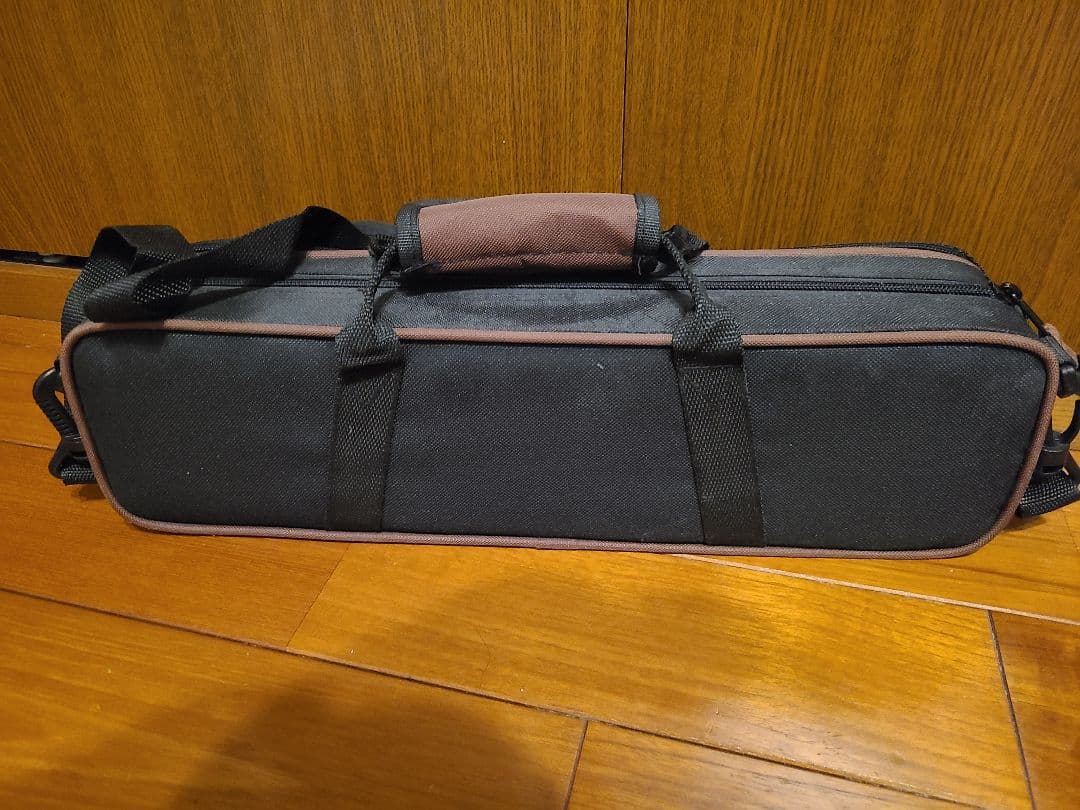 Eastar フルート本体 ケース付き メタリックブルー - メルカリ