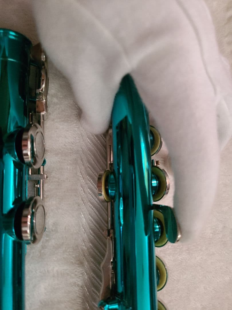 Eastar フルート本体 ケース付き メタリックブルー - メルカリ