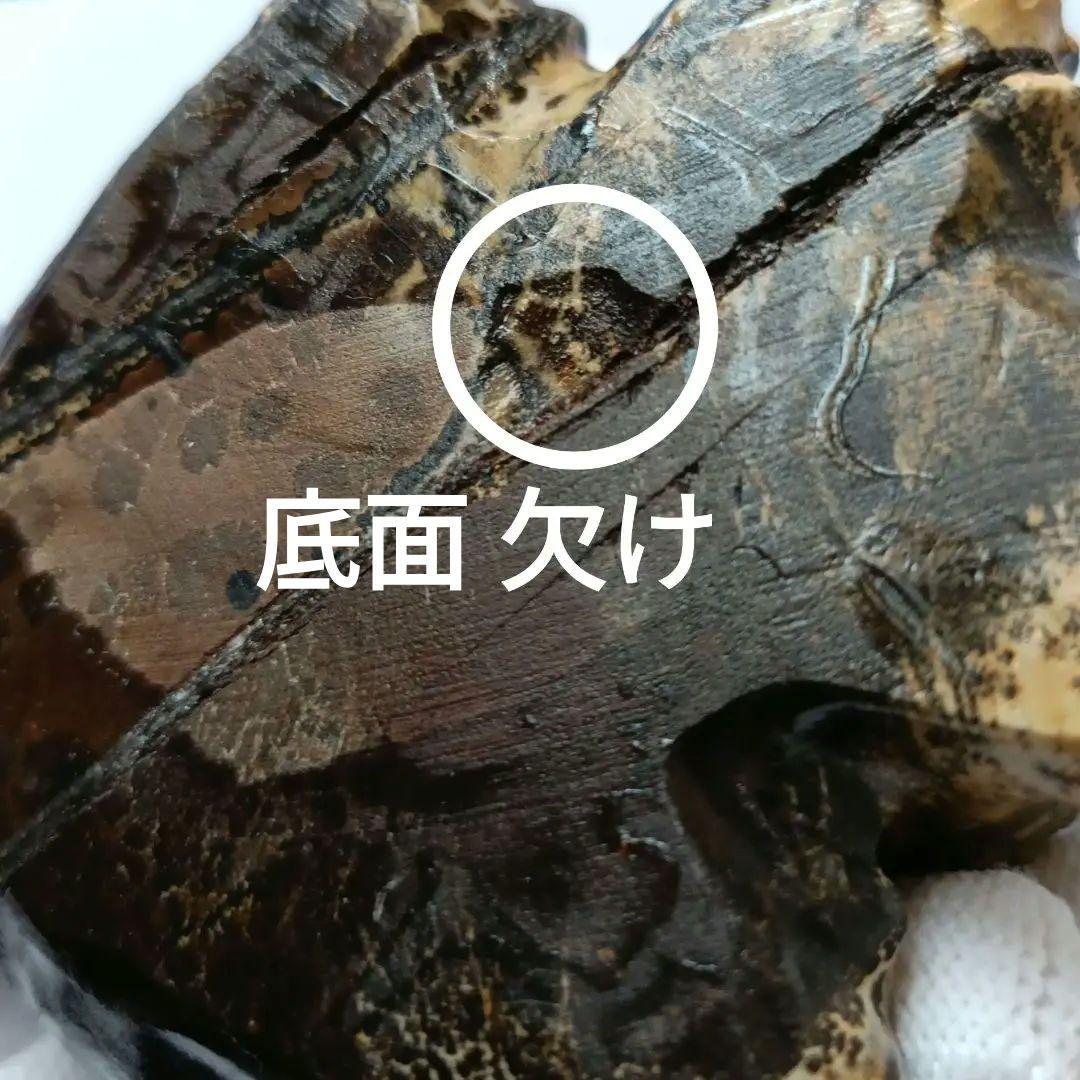 BIG✨ ピクチャージャスパー 絵画碧玉 お座り猫 天然石 パワーストーン